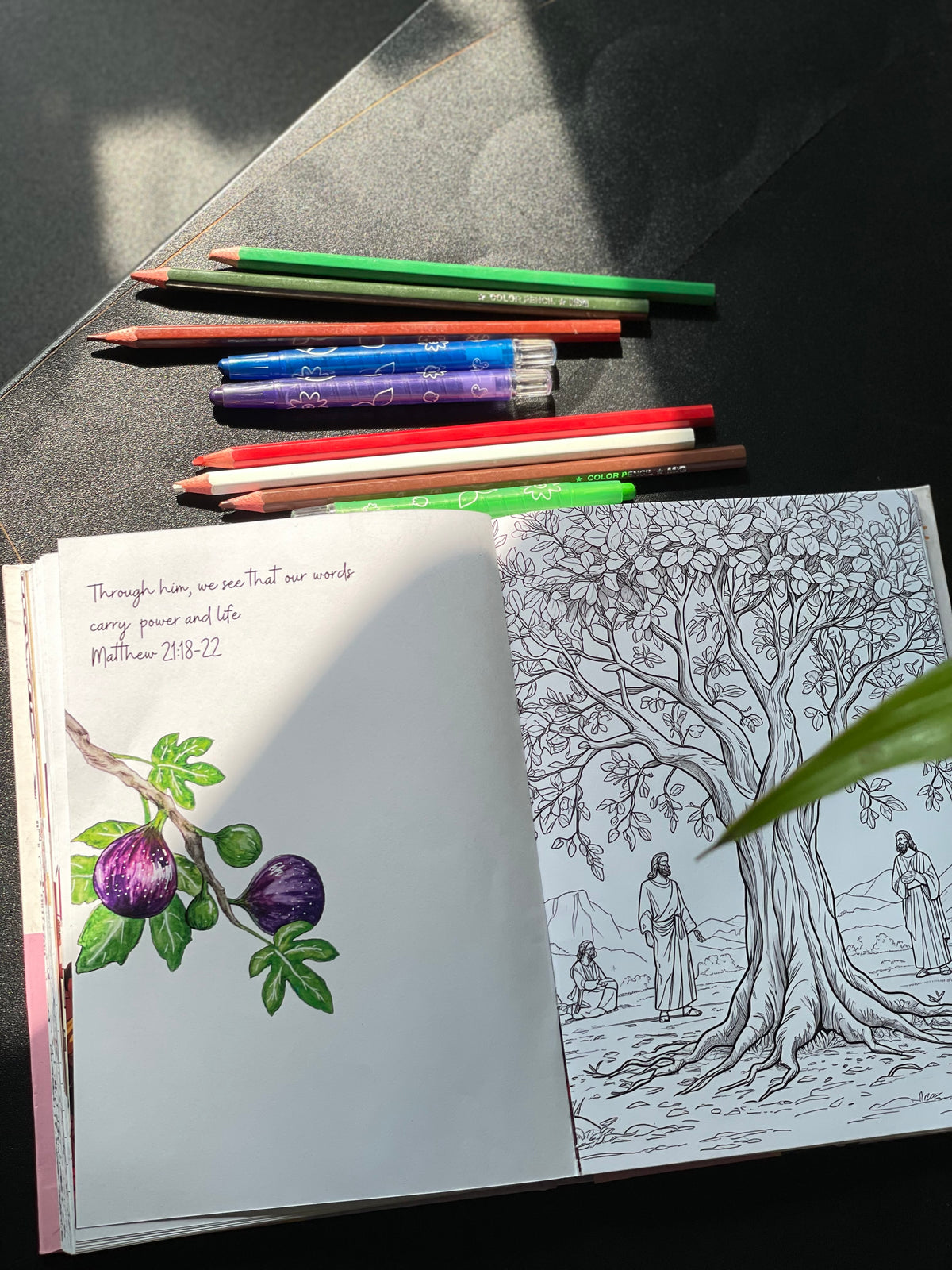 Rest - A Coloring Journal (A Journal + Coloring Book)